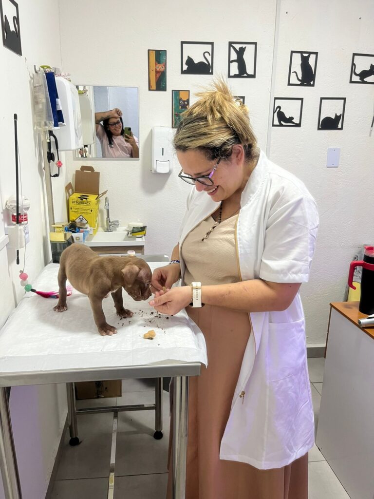 WhatsApp Image 2026-04-14 at 14.18.11